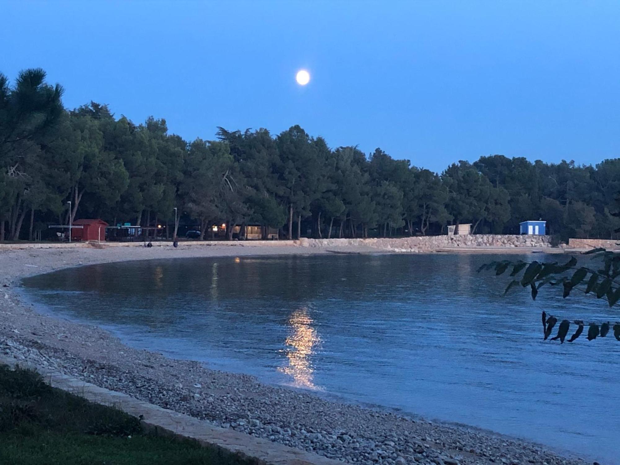 App Sorgo Apartman Novigrad Istria Kültér fotó