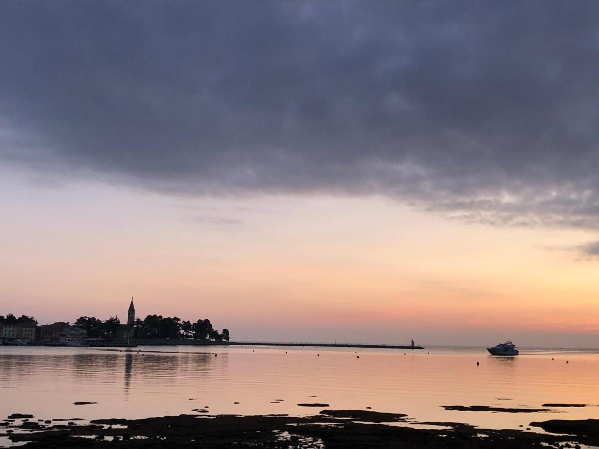 App Sorgo Apartman Novigrad Istria Kültér fotó