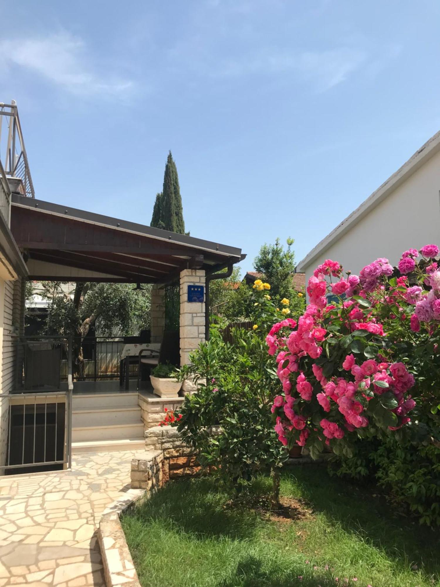 App Sorgo Apartman Novigrad Istria Kültér fotó