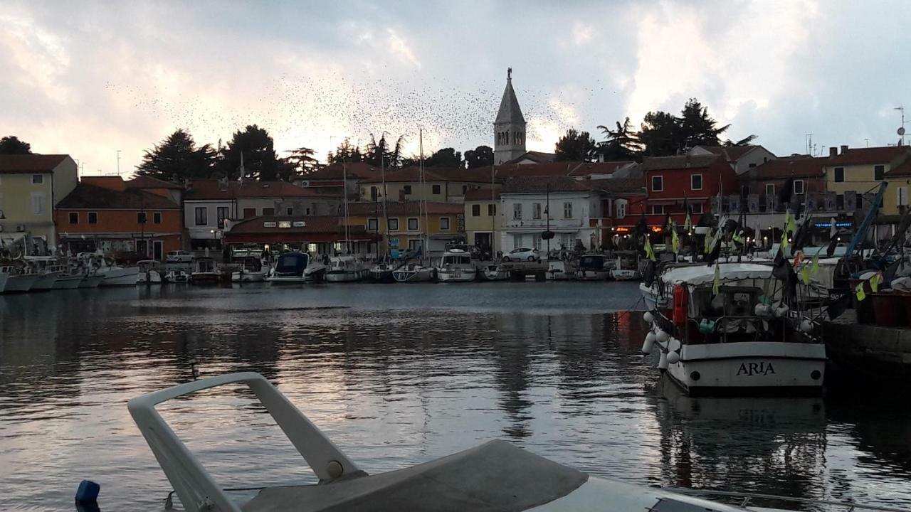 App Sorgo Apartman Novigrad Istria Kültér fotó